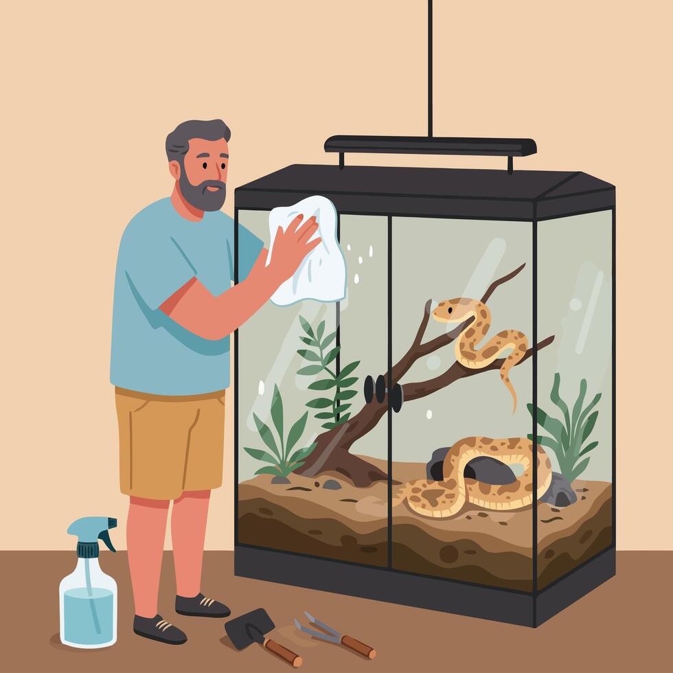 Person Cleaning Glass Terrarium with Snake Inside and Tools Nearby vector