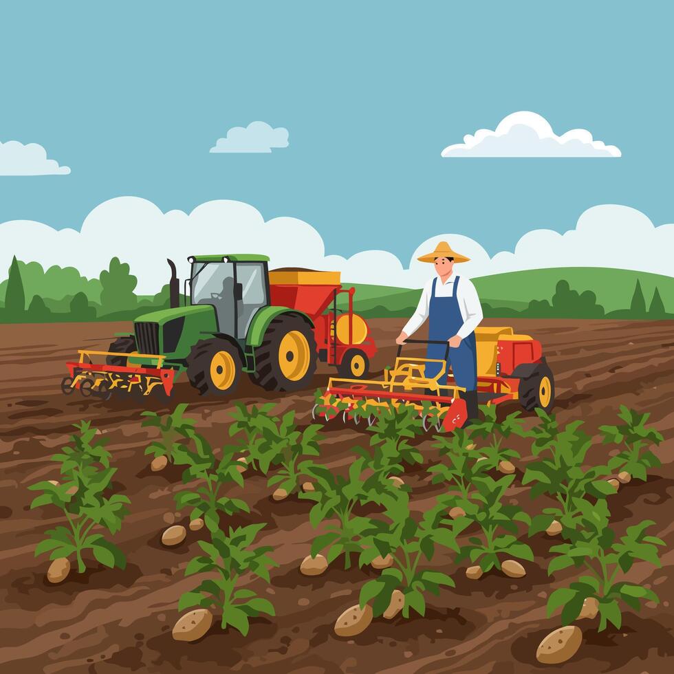 Farmer Cultivating Field with Tractor and Young Plants in Sunny Landscape vector