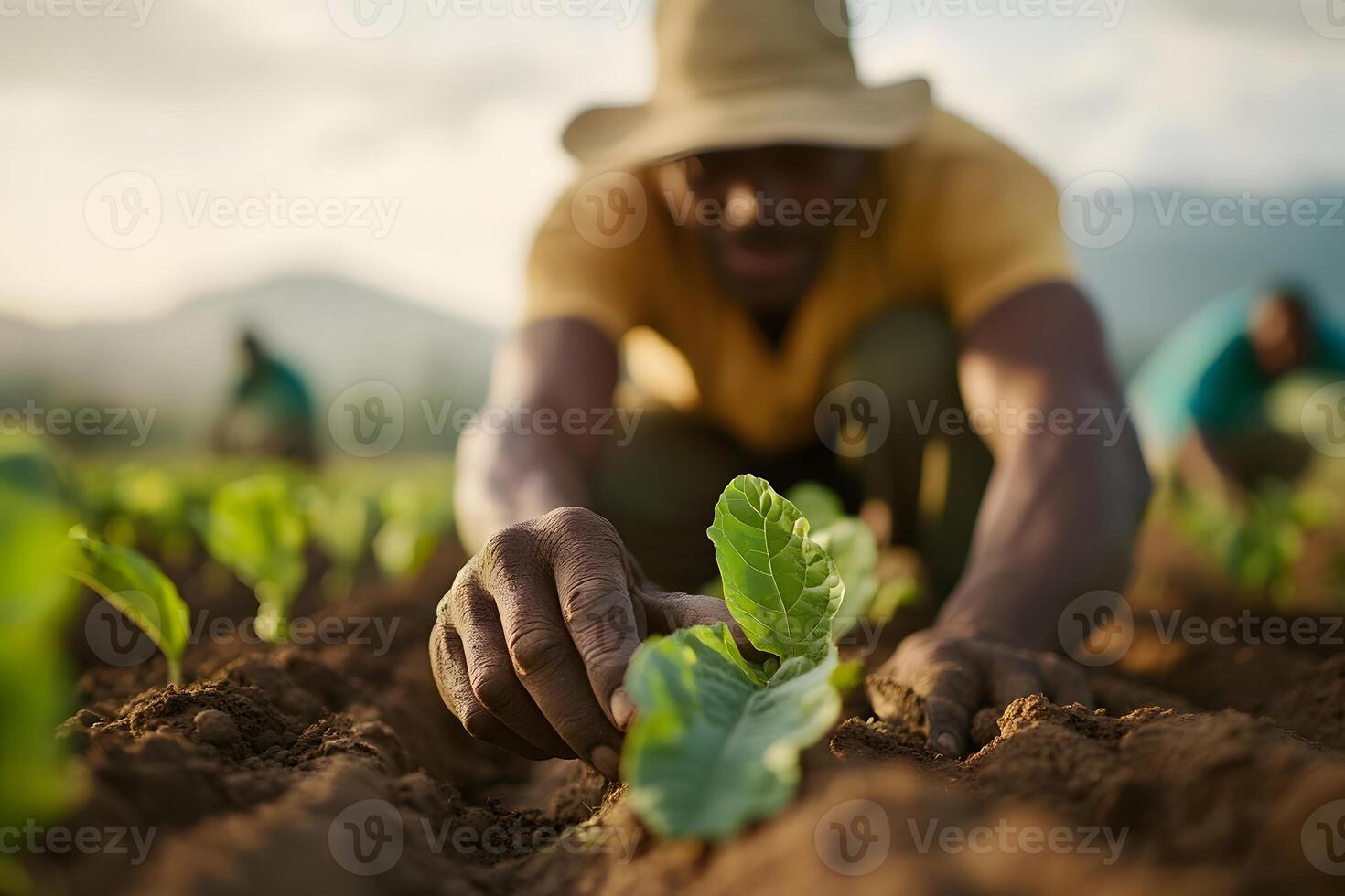 Farmers Working Together in a Collective Farm with Traditional Yet Resilient Atmosphere photo
