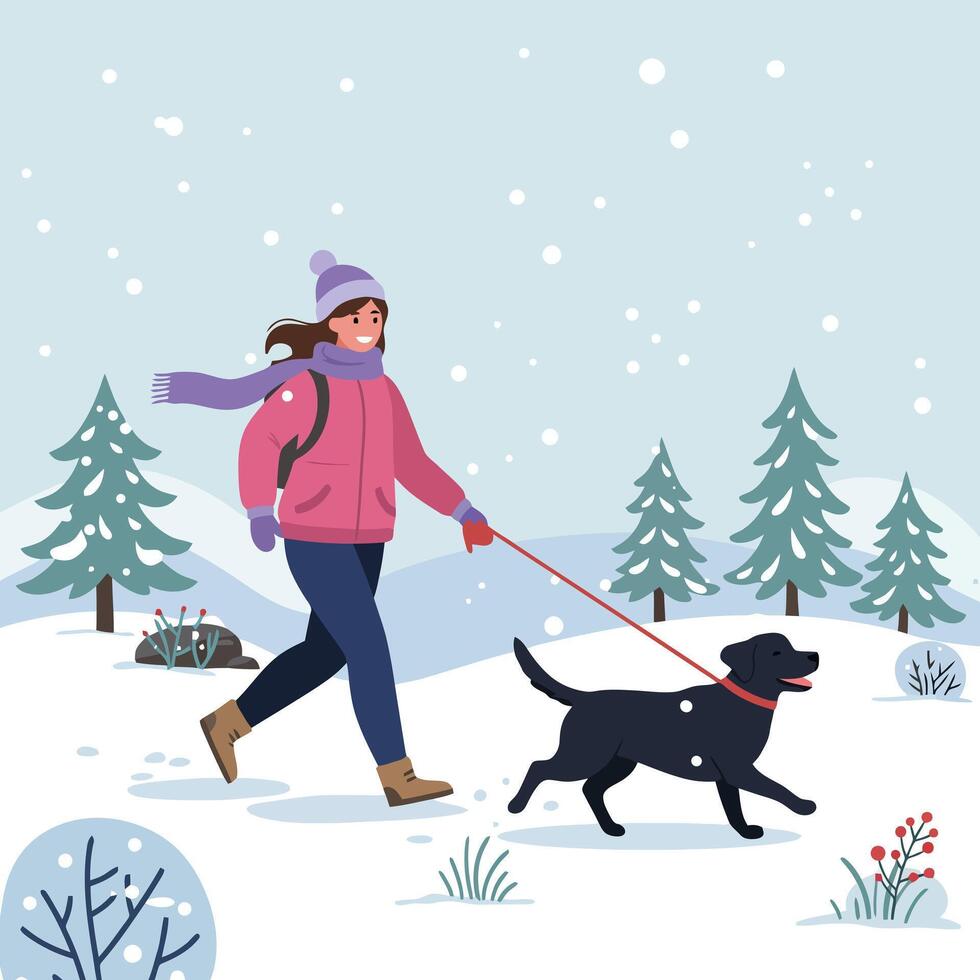 Woman Walking Dog in Snowy Winter Landscape with Pine Trees vector