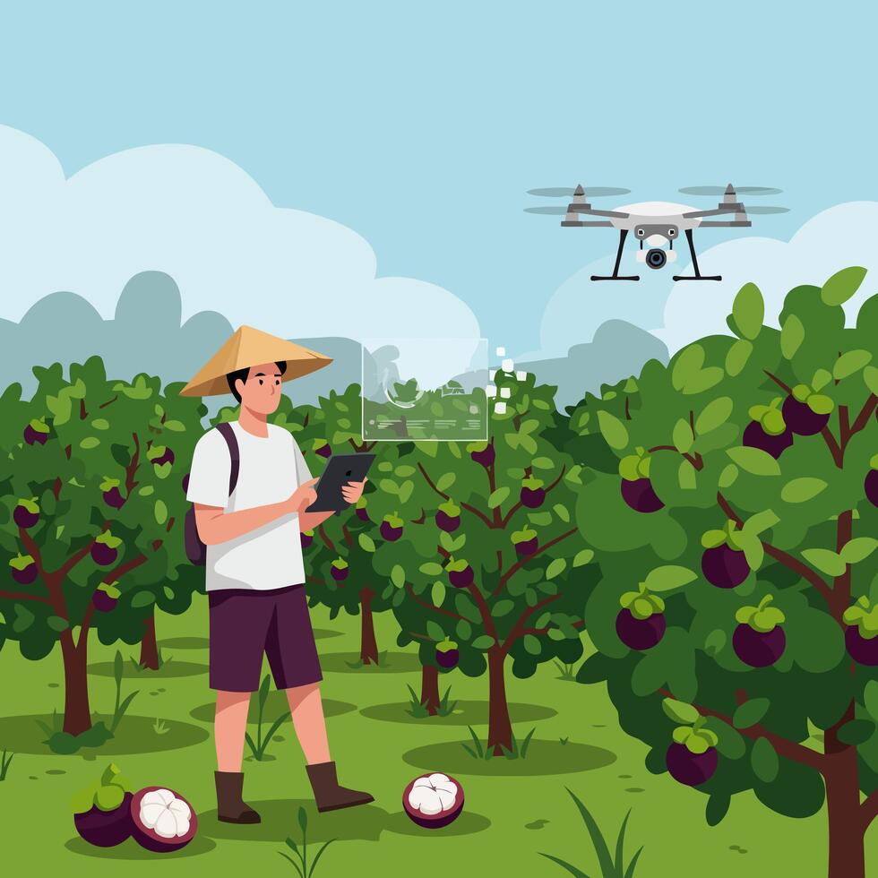 Farmer Monitoring Orchard with Drone and Tablet Technology for Crop Health vector