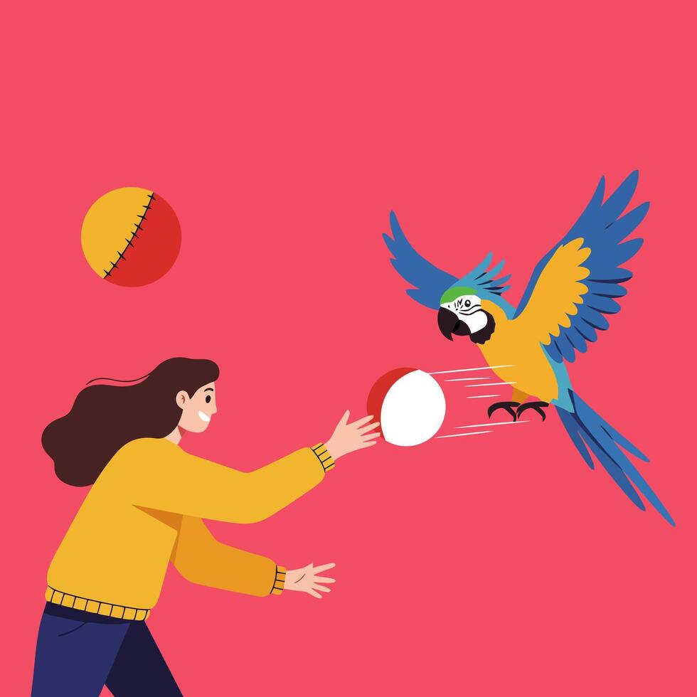 Woman Playing with a Flying Parrot While Throwing a Ball vector