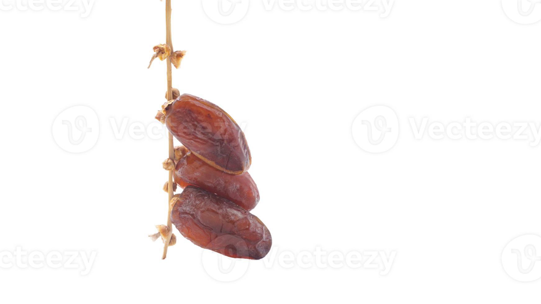 Handpicked Juicy Dried Dates Fruit on Stalk Iftar Special Isolated on Transparent Background png