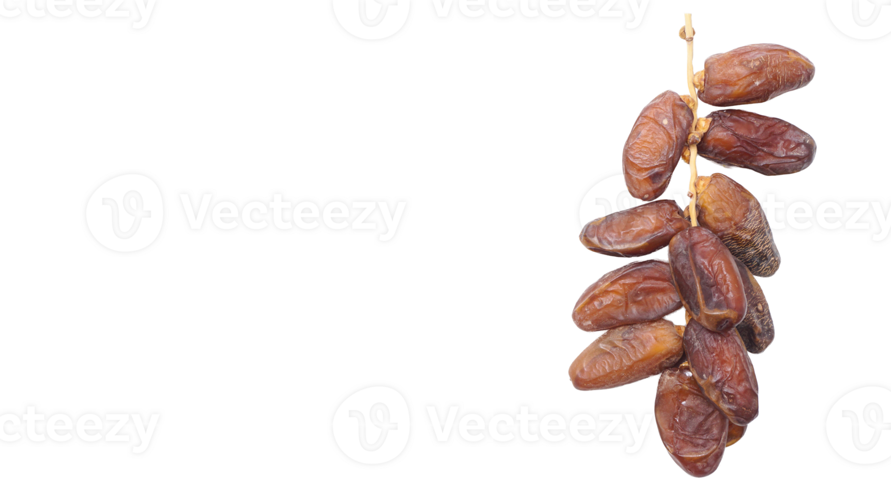 Rich in Flavor Dried Dates Fruit on Stalk Ramadan Treat Isolated on Transparent Background png