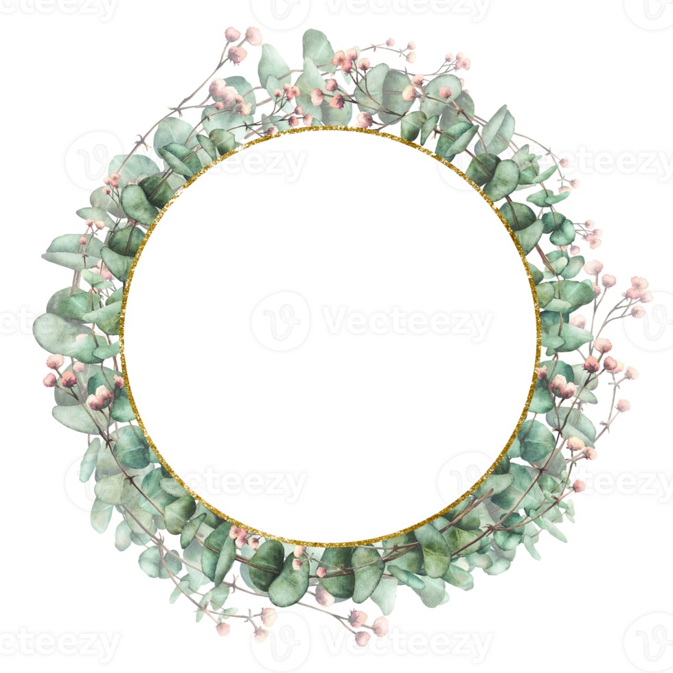 Eucalyptus plant with Gypsophila flower wreath with golden circle frame. Watercolor Green branches with round leaves and pink buds for card, label. Hand drawn illustration isolated from background png