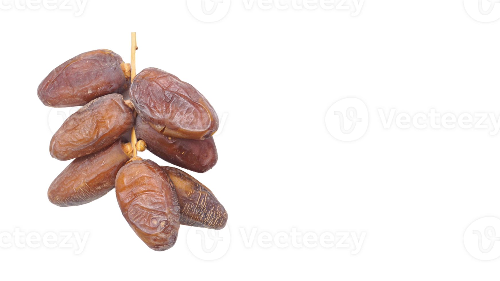 Dried Dates Fruit on Stalk Perfect for Sweet Ramadan Treat Isolated on Transparent Background png