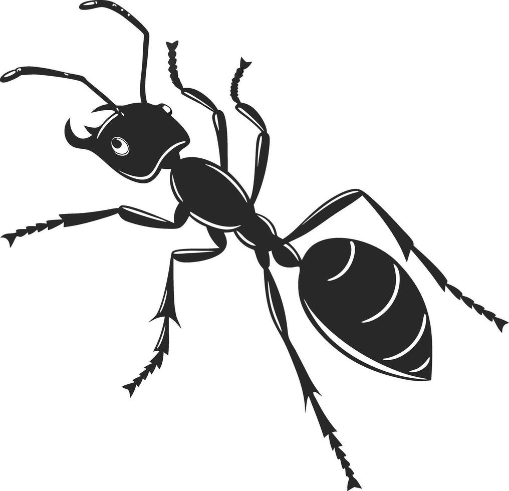 Ant illustration image insect isolated on white vector