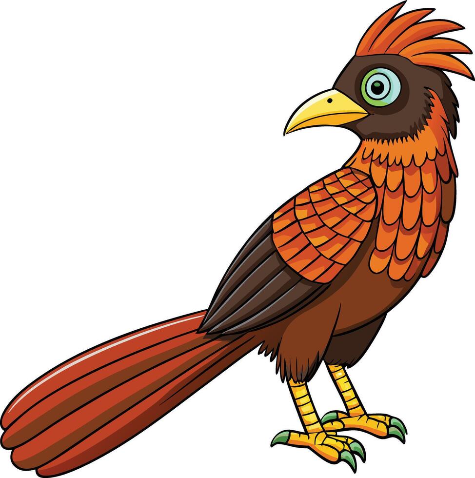 Cartoon illustration of a cute roadrunner bird vector