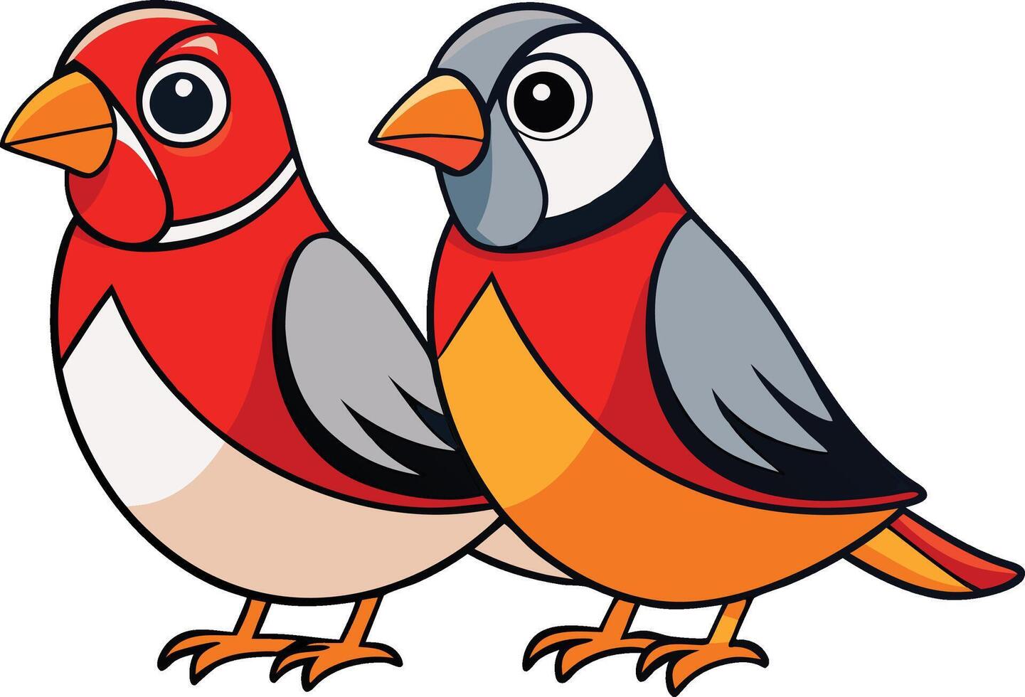Cartoon Bird Pair Illustration Colorful Graphic vector