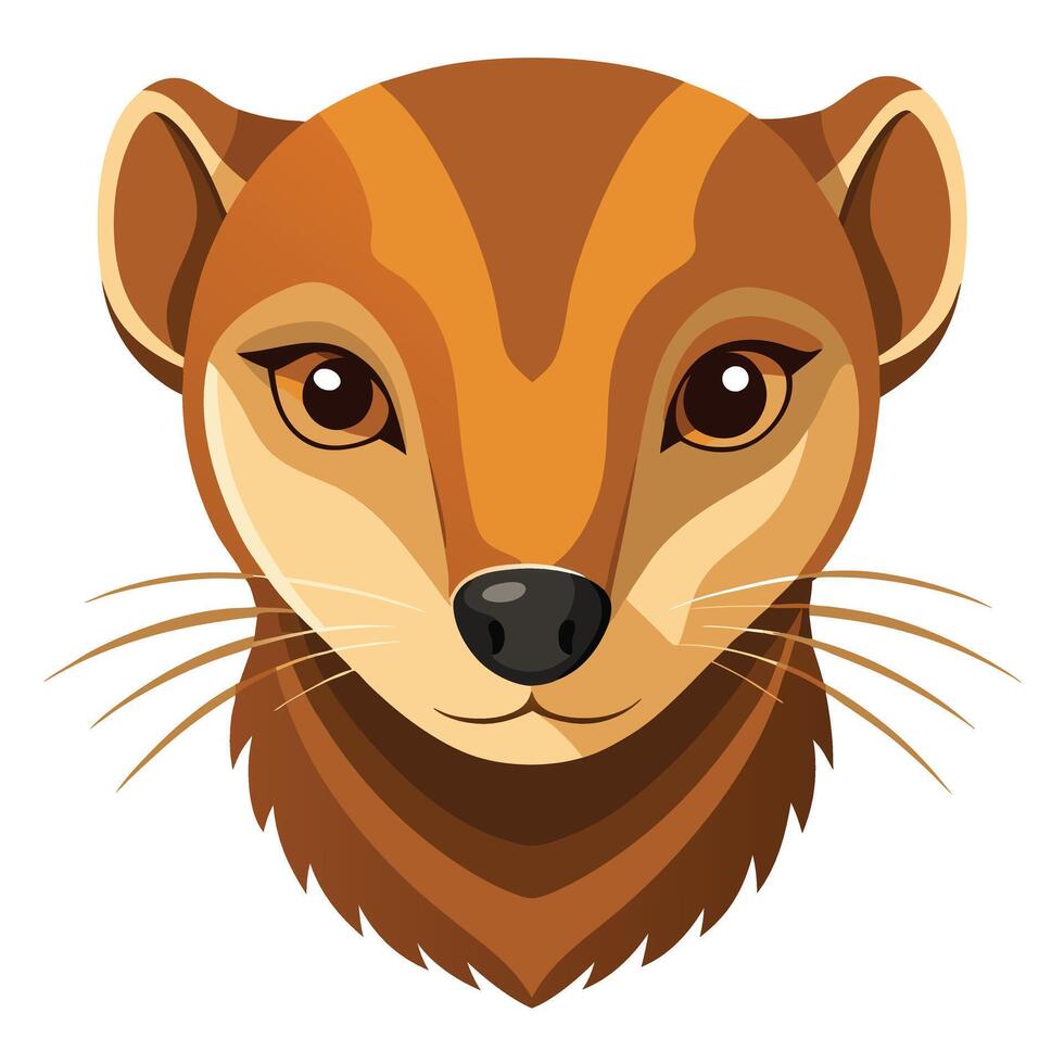Stylized Mongoose Head Illustration vector
