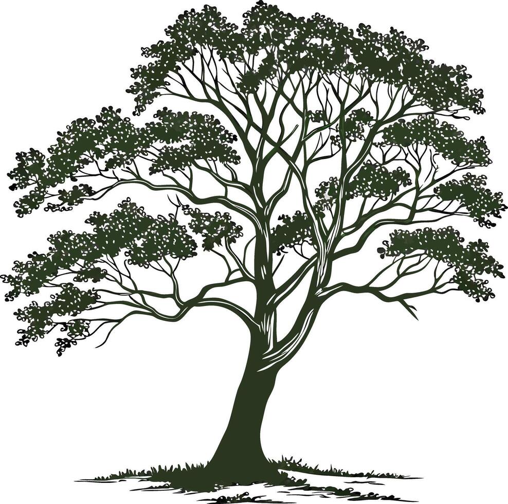 Silhouette tree illustration with leaves and branches vector