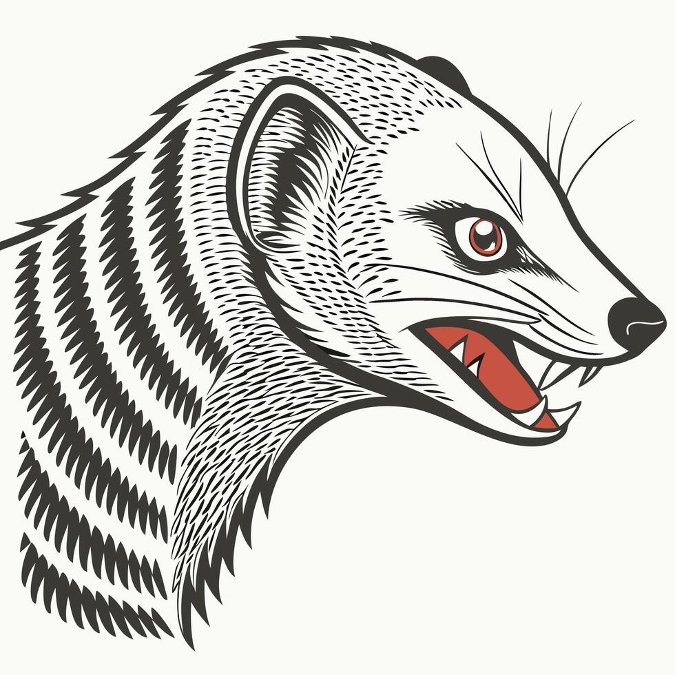 Mongoose head illustration detailed design vector