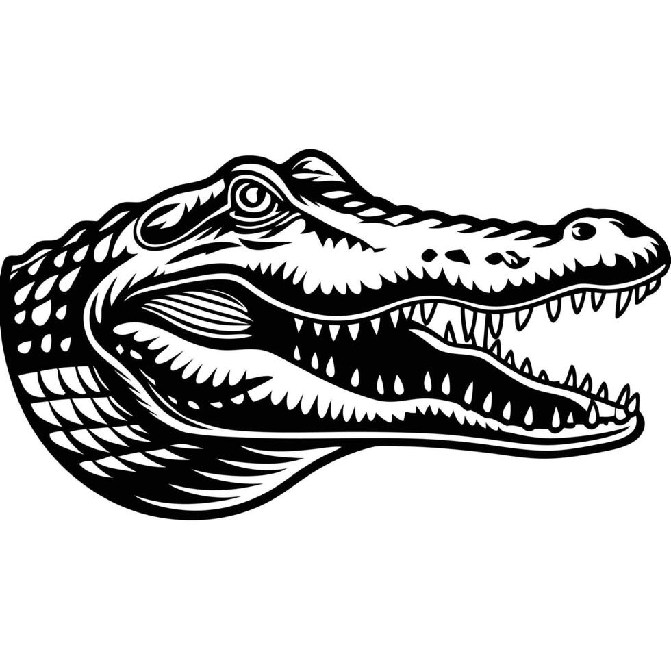 Alligator Head Illustration vector