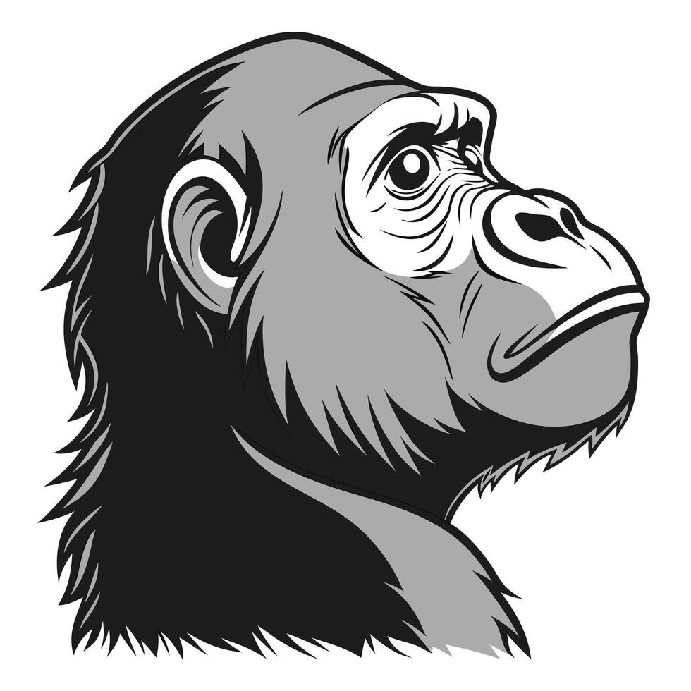 Illustration of Gorilla Head in Profile vector
