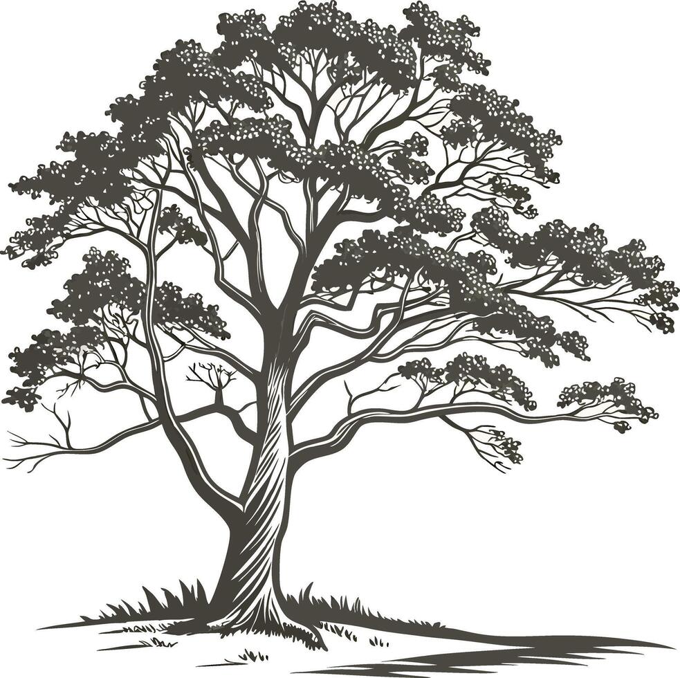 Stylized Illustration of an Old Tree vector