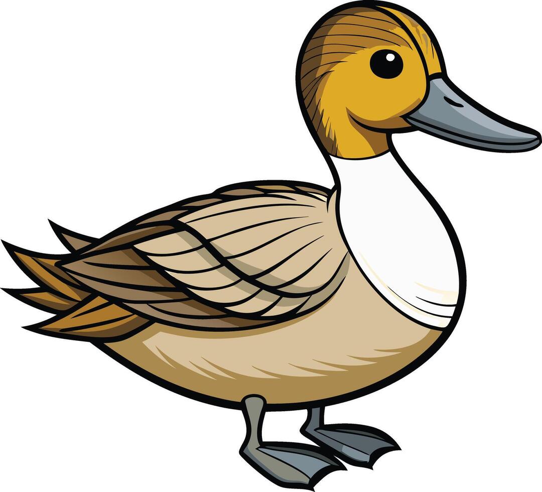 Cartoon Illustration of a Northern Pintail Duck vector