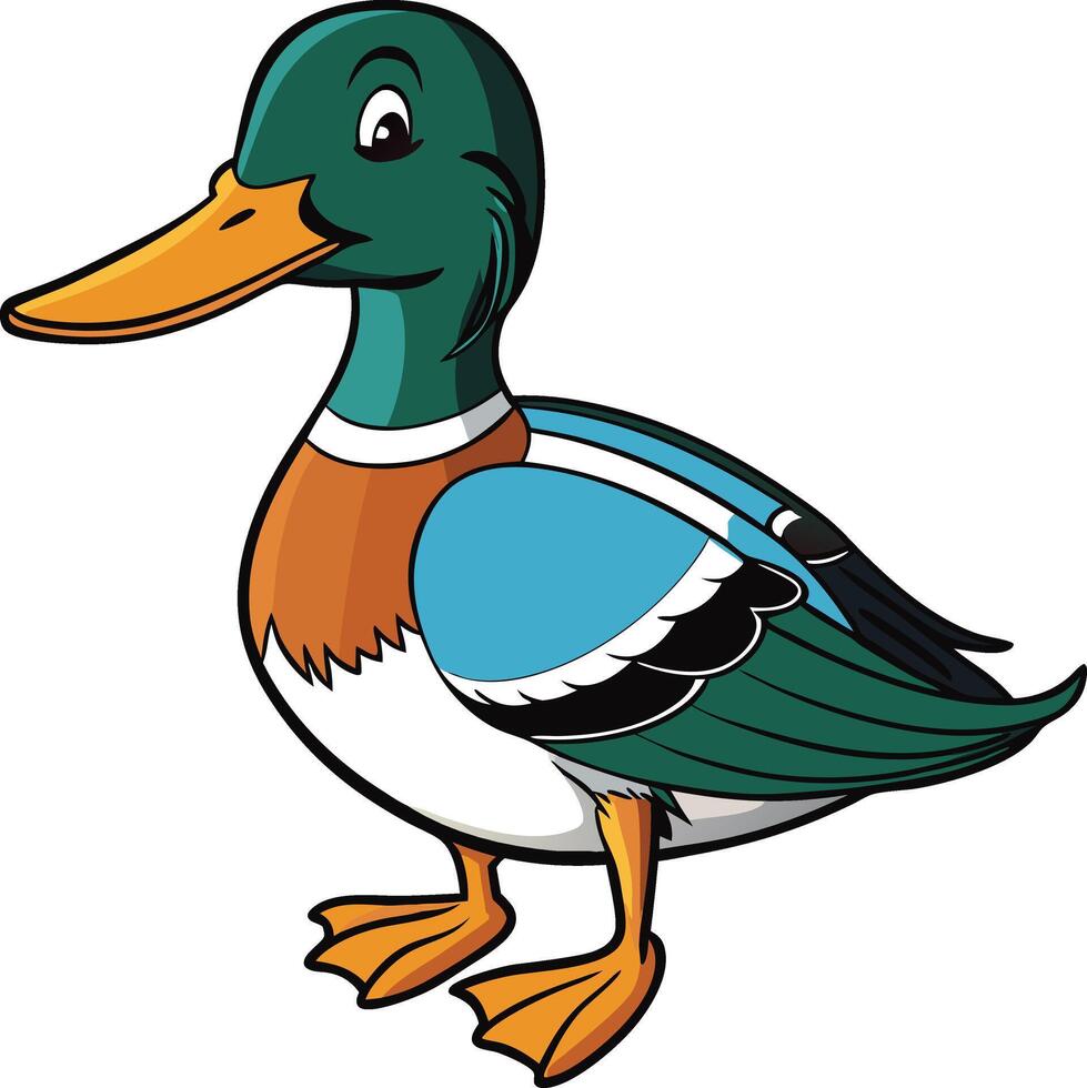 Cartoon Mallard Duck Illustration Colorful and Detailed vector
