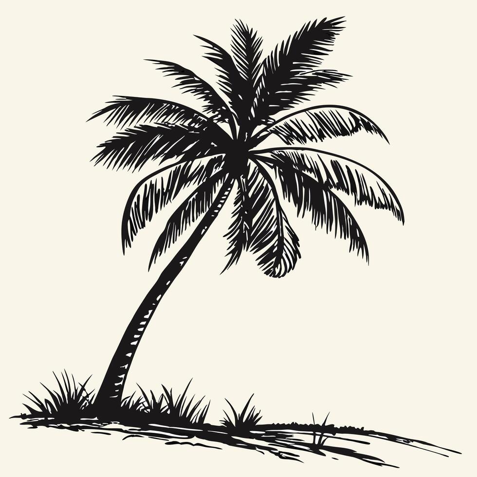 Black and white palm tree illustration . vector