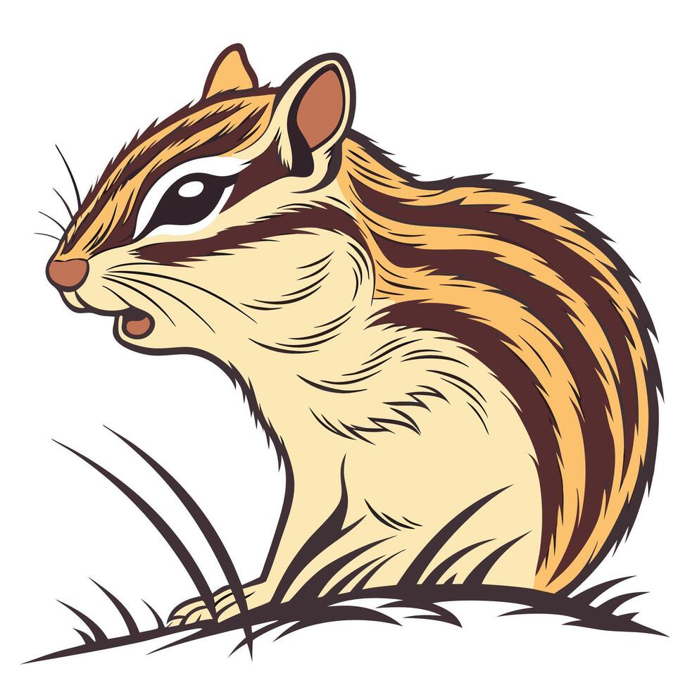 Cartoon chipmunk illustration on white background vector