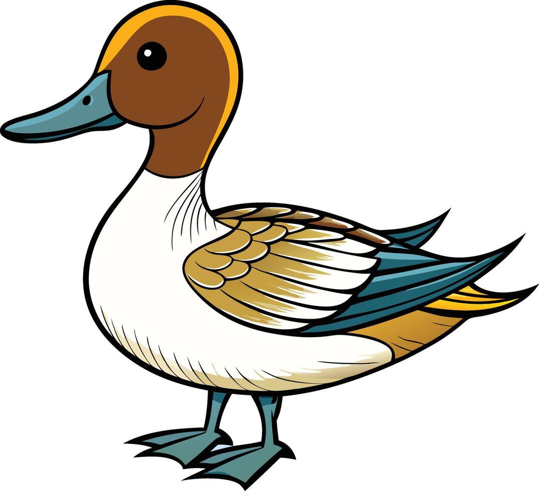 Cute Cartoon Northern Pintail Duck Illustration vector