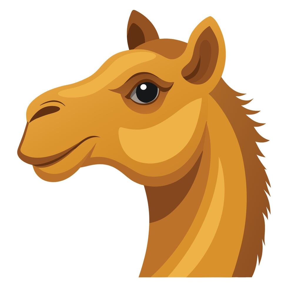Camel head illustration desert animal isolated vector