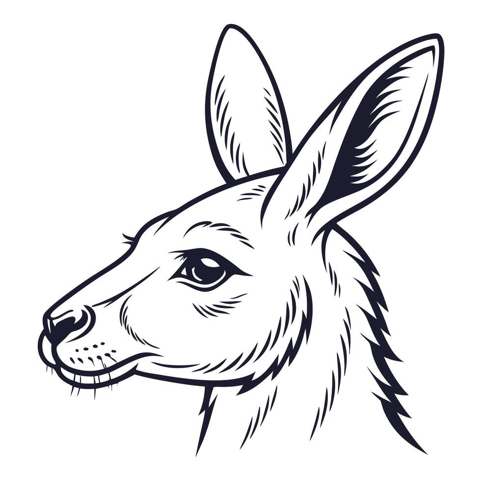 Kangaroo head illustration, monochrome style vector