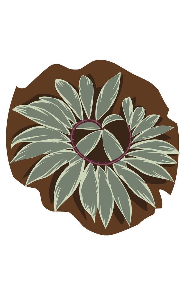 Hawaiian spiral ginger leaf on the ground. Beautiful pink Spiral leaf vector