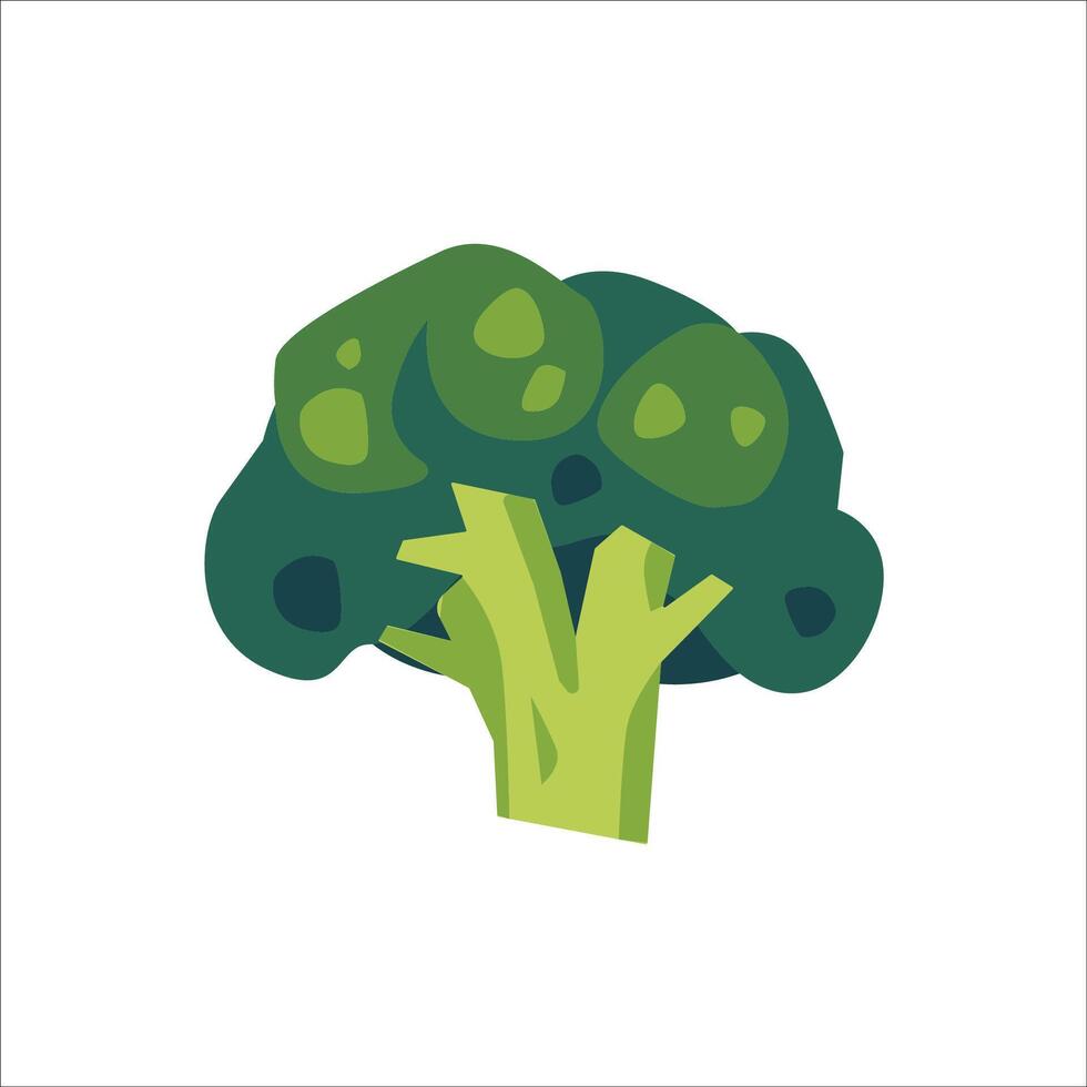 Fresh Broccoli Illustration vector
