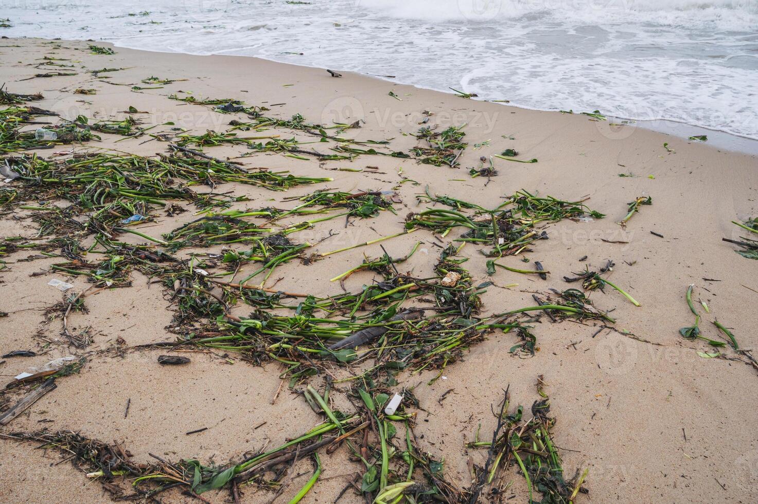 the condition of the beach is dirty, with a lot of garbage. Plastic and wood waste photo