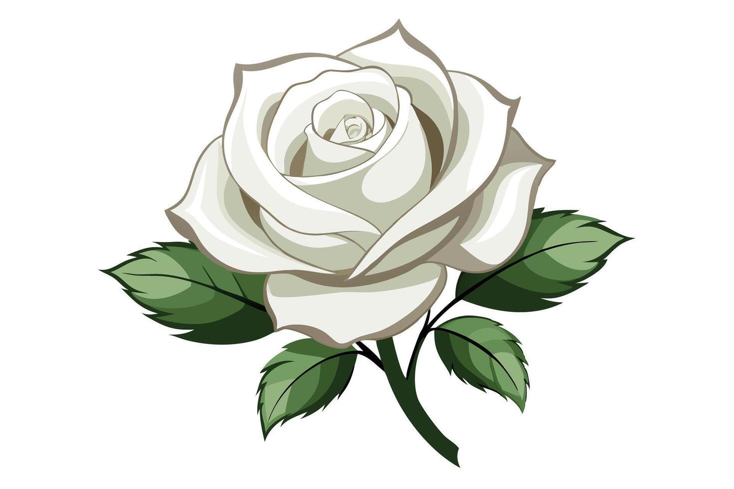 A Elegant White Rose Illustration for Design Projects vector