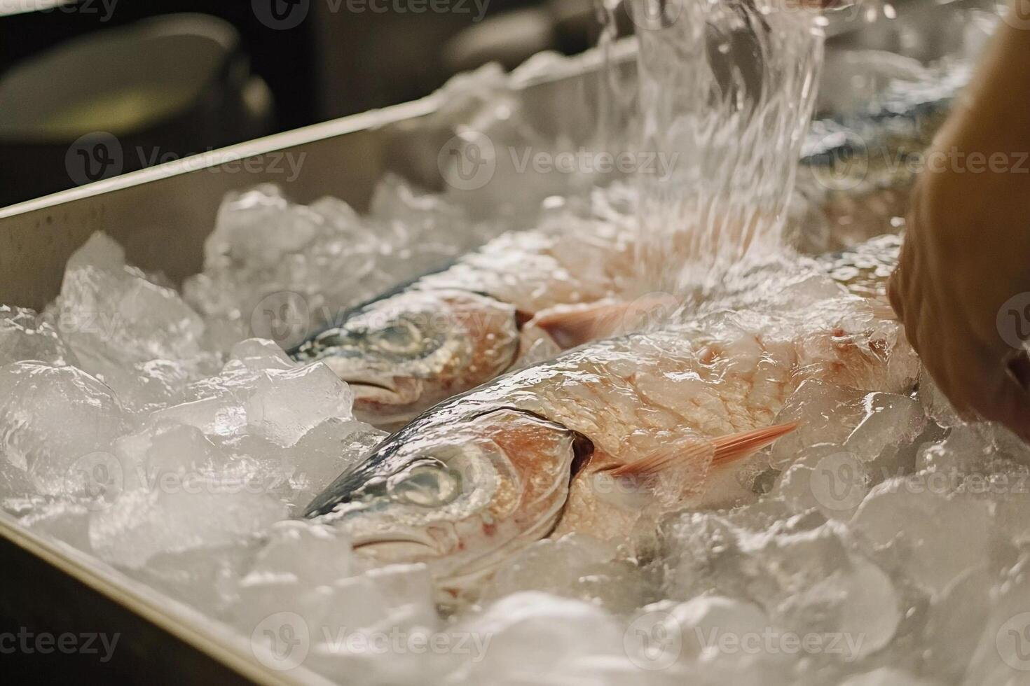 Fresh fish being cleaned with ice in a seafood market during the early morning hours photo