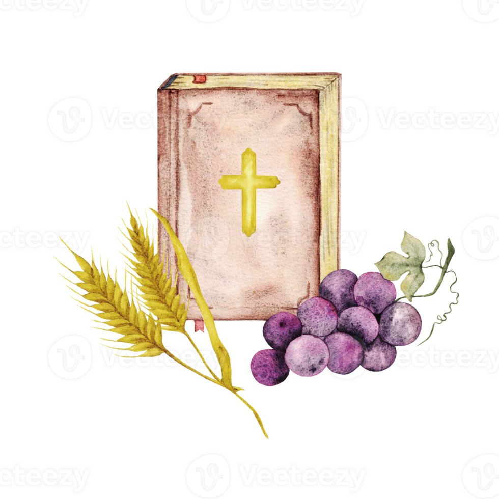 Bible, bunch of grapes and ears of wheat. Watercolor illustration. Hand drawn. Isolated. For first communion, baptism, wedding greeting cards, invitation. Save the date, anniversary, birthday party png