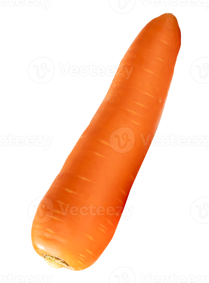Top view of one fresh orange carrot root isolated with clipping path in file format png
