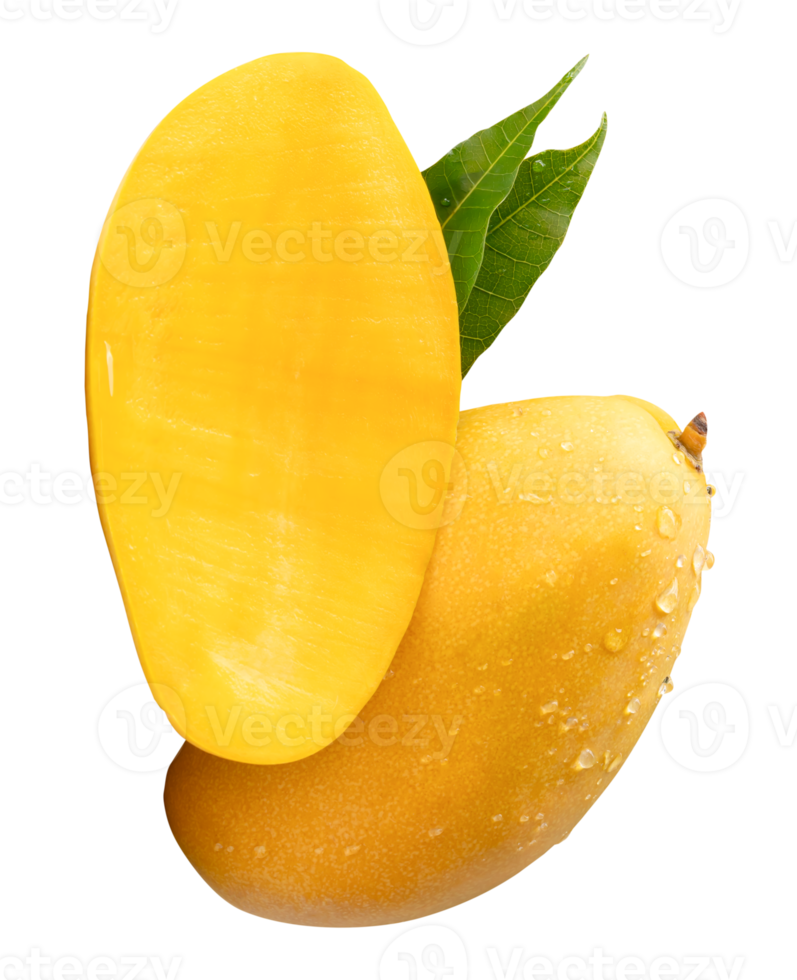 Ripe mango fruit and half with green leaves and water droplets in vertical heap isolated with clipping path in file format png