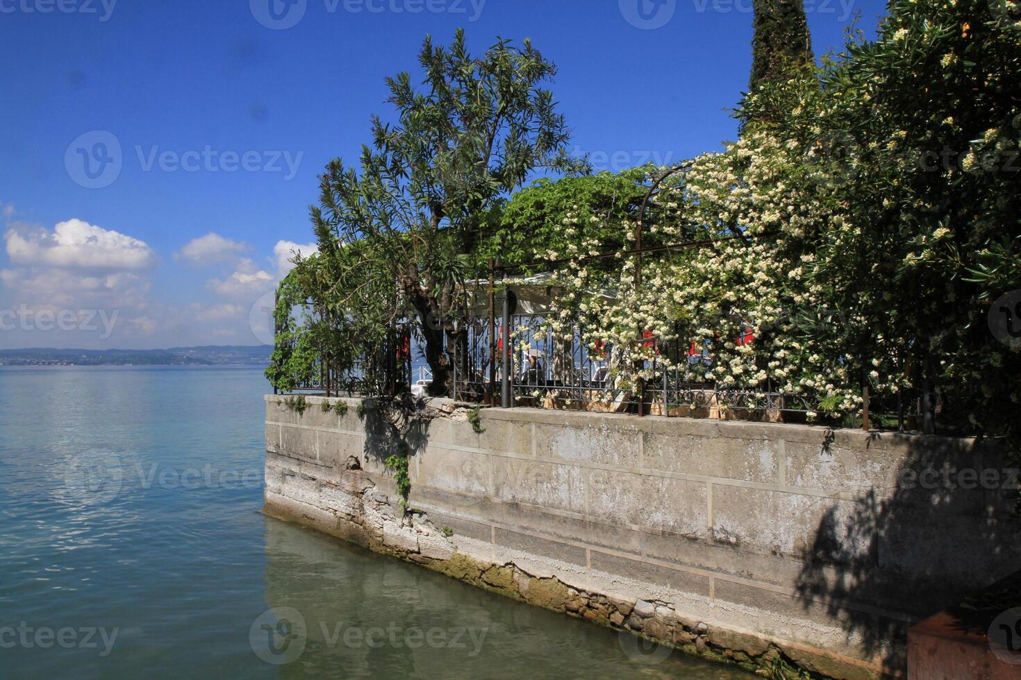 Picturesque terrace on the lake shore with blooming flowers. photo