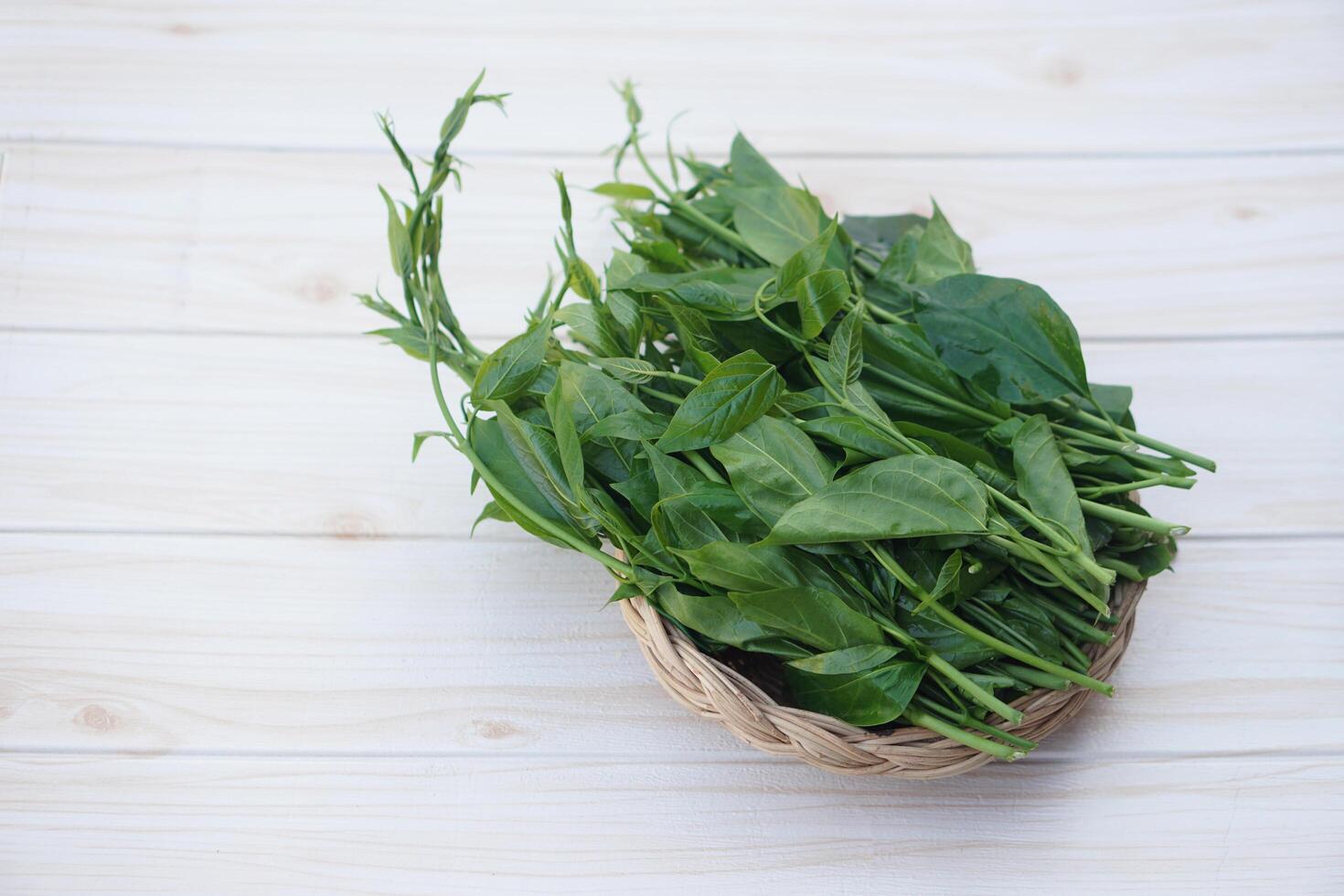 Fresh organic herbal Gurmar vegetable or Gymnema inodorum. Concept, Thai herbal vegetable, eaten as vegetables or cooking for helping lower blood sugar levels. photo