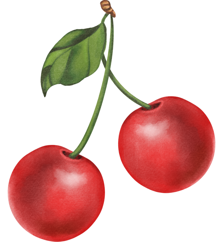 red cherry sweet png