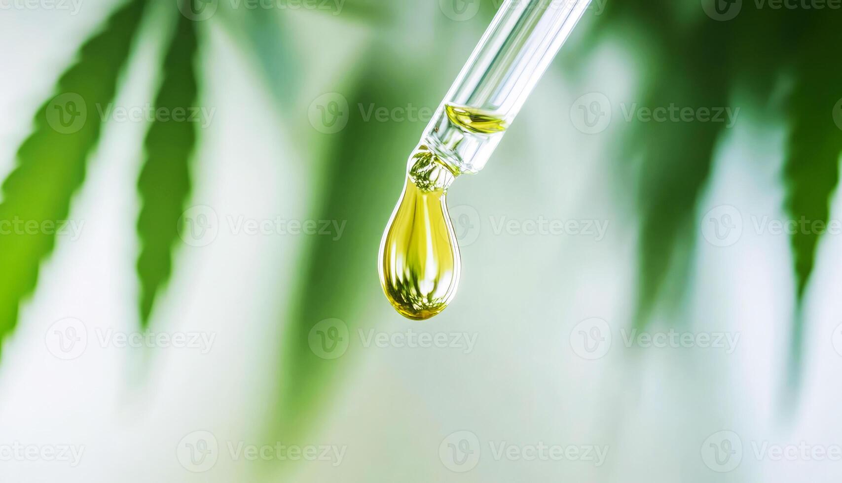 High quality cannabis oil dropper with green plant background in bright light photo