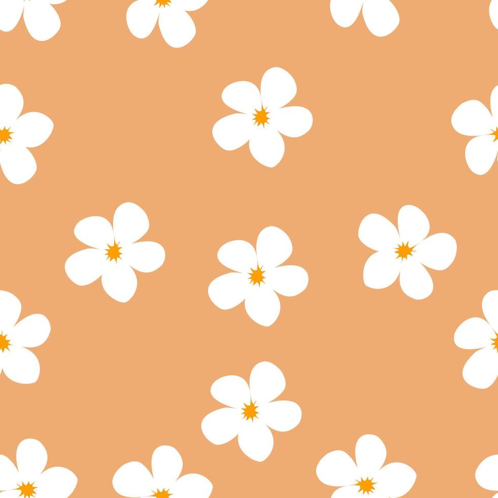 White Jasmine flower pattern background vector