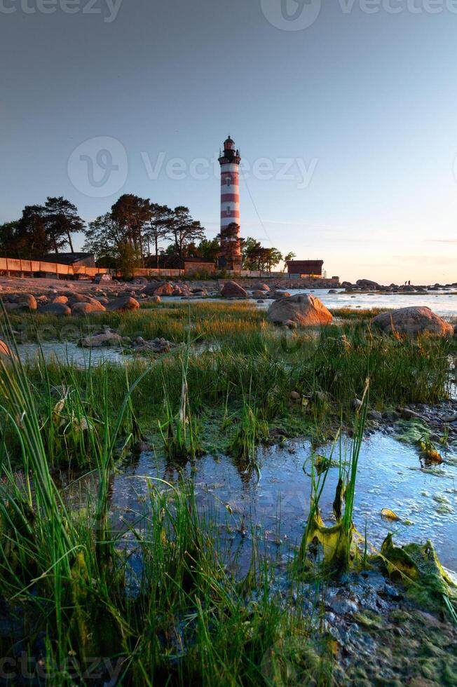 Lighthouse on the Gulf of Finland in the rays of the setting sun, white nights. In the foreground we see a backwater and greenery photo