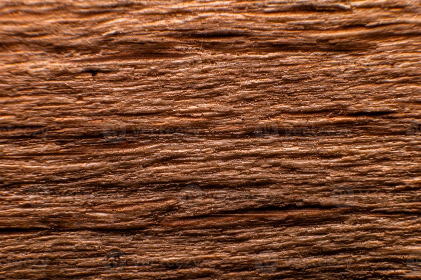 Texture macro shot of a block of wood split or eaten by an insect photo