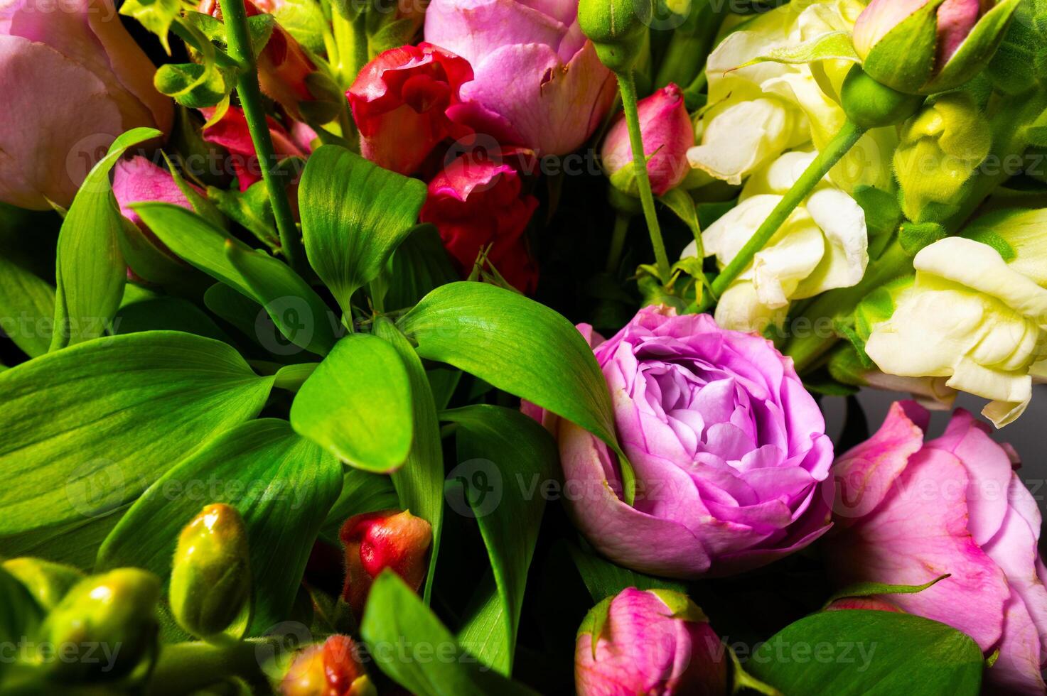 lush dark bouquet of pink, cream and white flowers, floral arrangement with roses, design centerpiece or motif for cards, wedding stationery, covers, posters, packaging photo