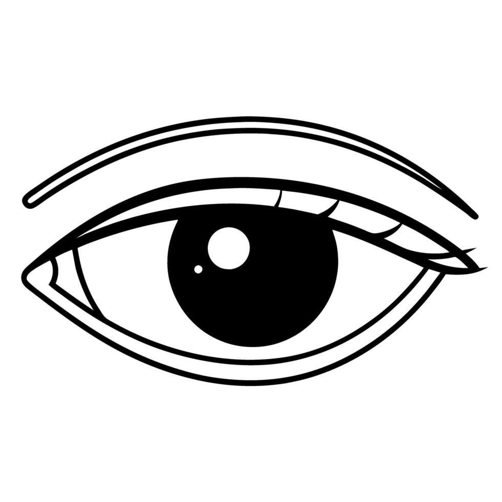 black and white eye illustration detailed line art of human eye with focus on iris and eyelashes vector