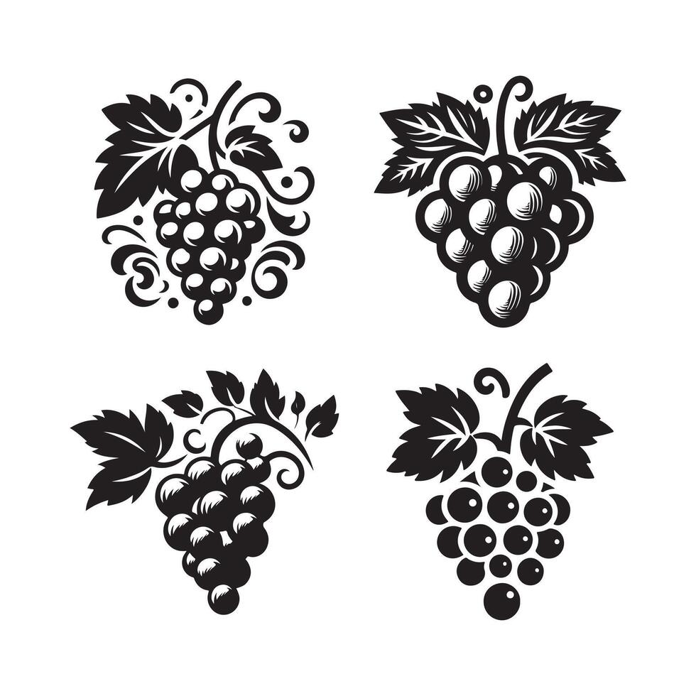 Grapes Silhouette for Poster Design vector