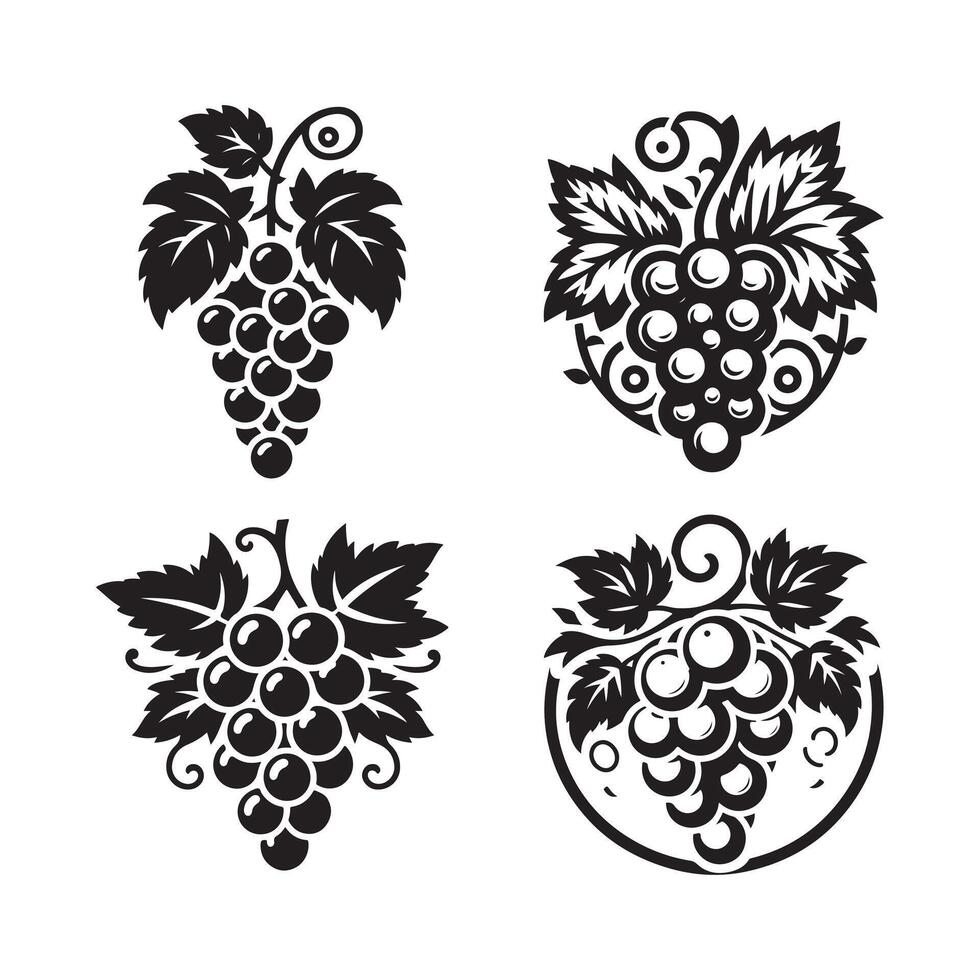 Grapes Silhouette for Promotional Graphics vector