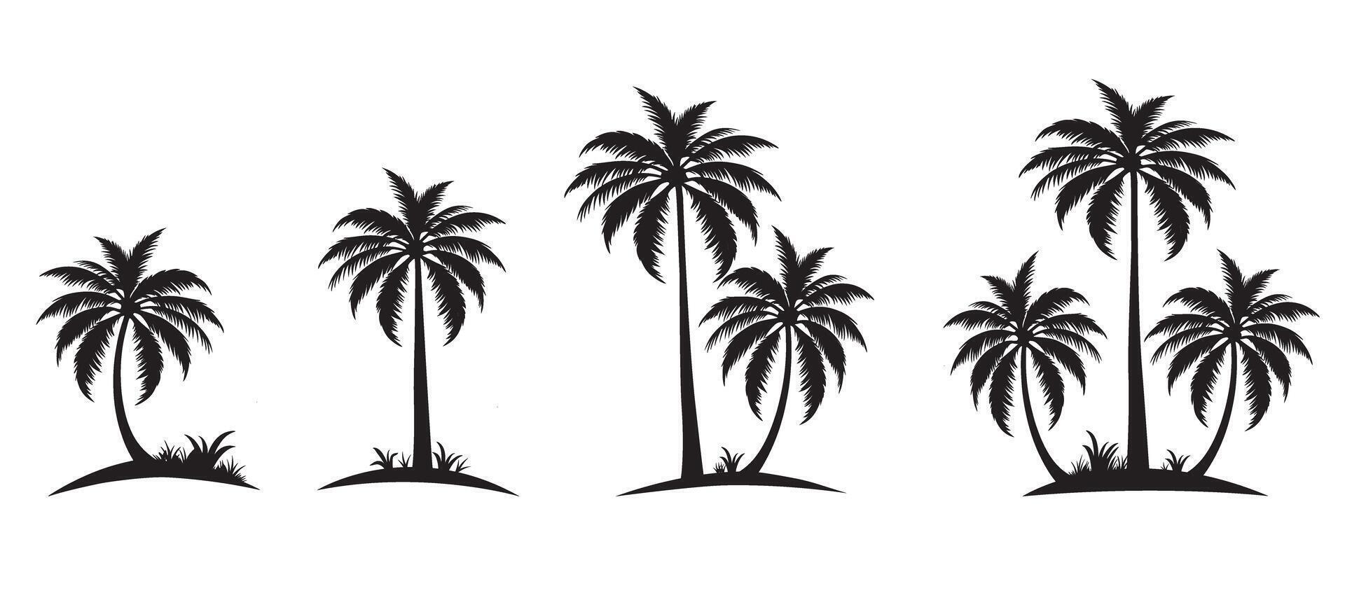 Three sets of palm coconut trees silhouette illustration on isolated white background sea beach 1 vector