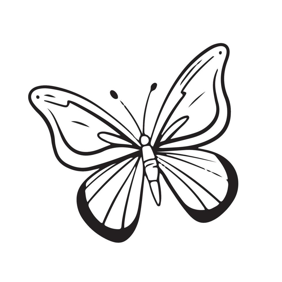 butterfly doodle hand drawn illustration . Outline drawing butterfly line clipart symbol collection. illustration vector