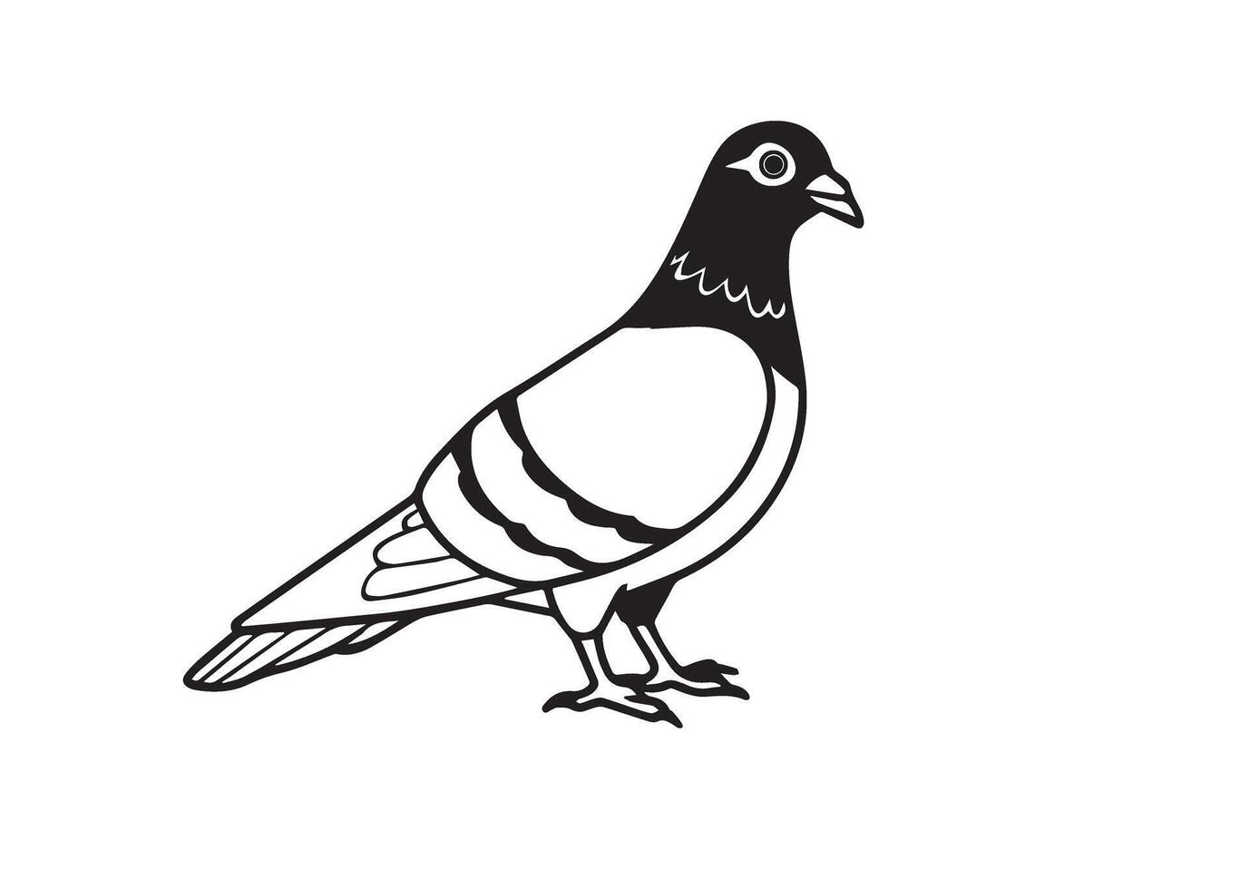 Pigeon Silhouette Illustration vector