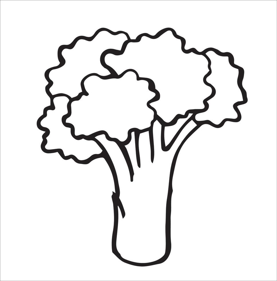 broccoli, cute doodle illustration vector