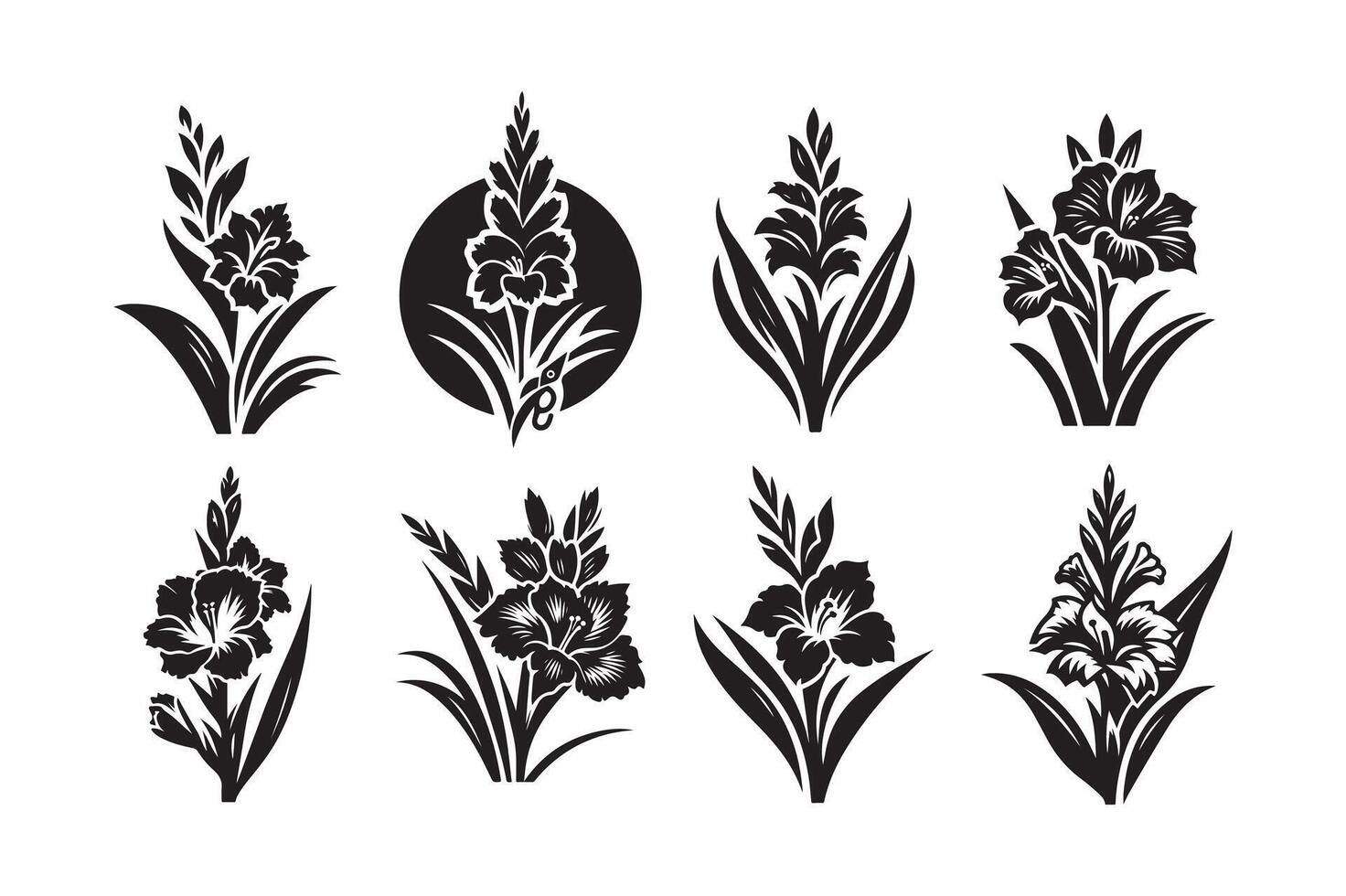 Professional Gladiolus Silhouette for Advertising vector